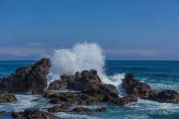 Kohea Kai Maui Kihei