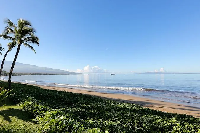 Sugar Ph 14 Kihei