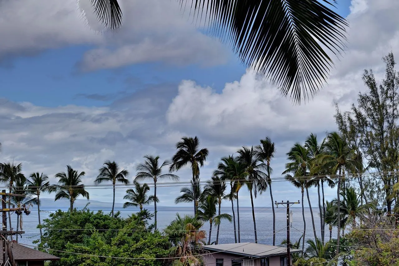 Maui Vista 1313 公寓