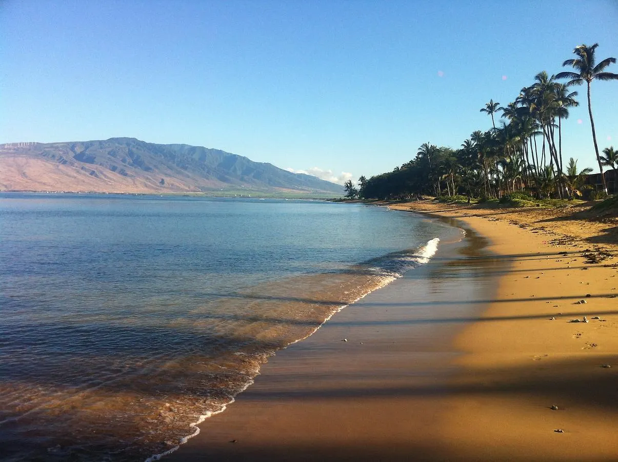 Daire Aloha Aku Bamboo - Discover Beachfront Serenity Kihei
