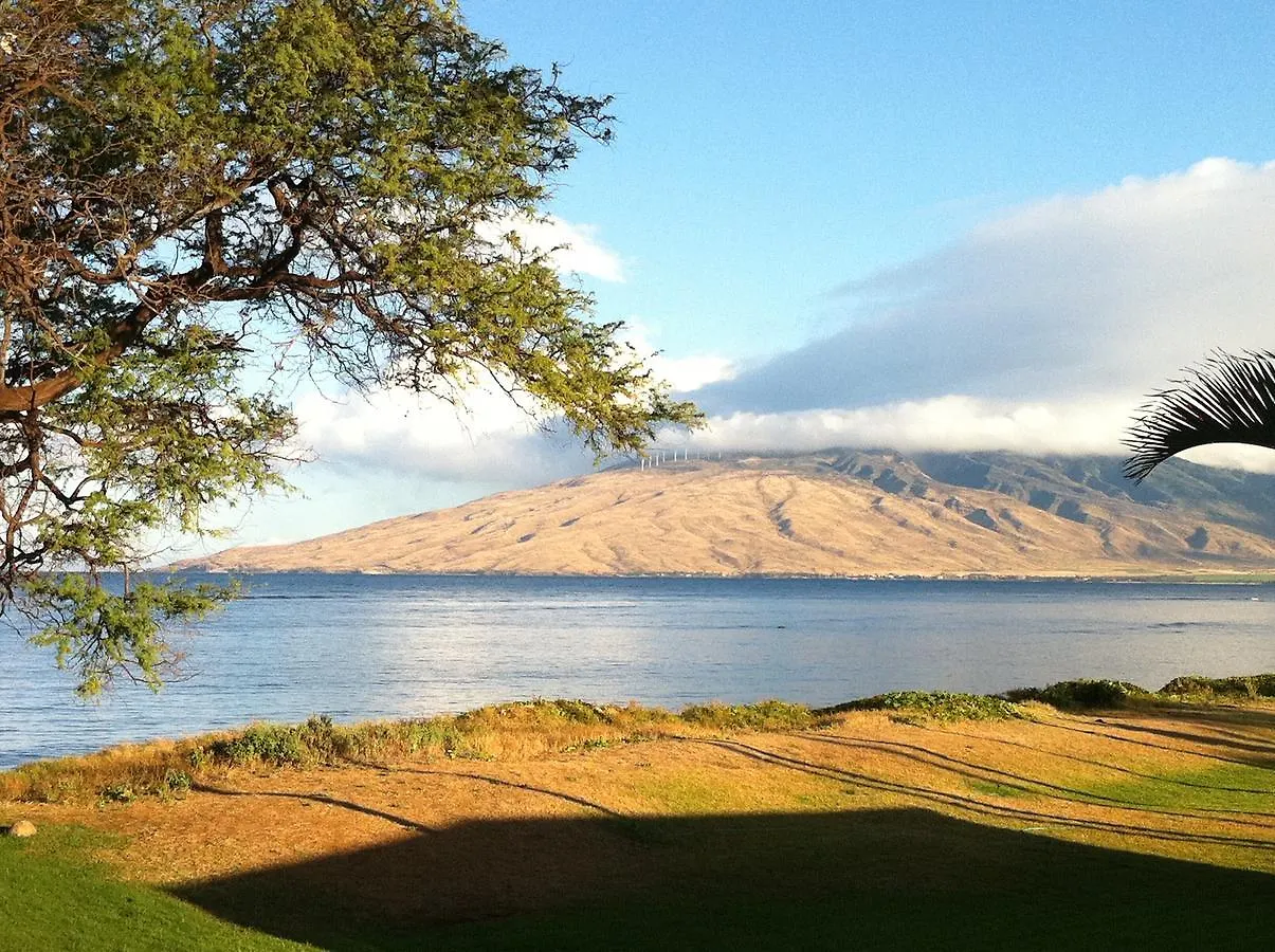 Aloha Aku Bamboo - Discover Beachfront Serenity * Kihei