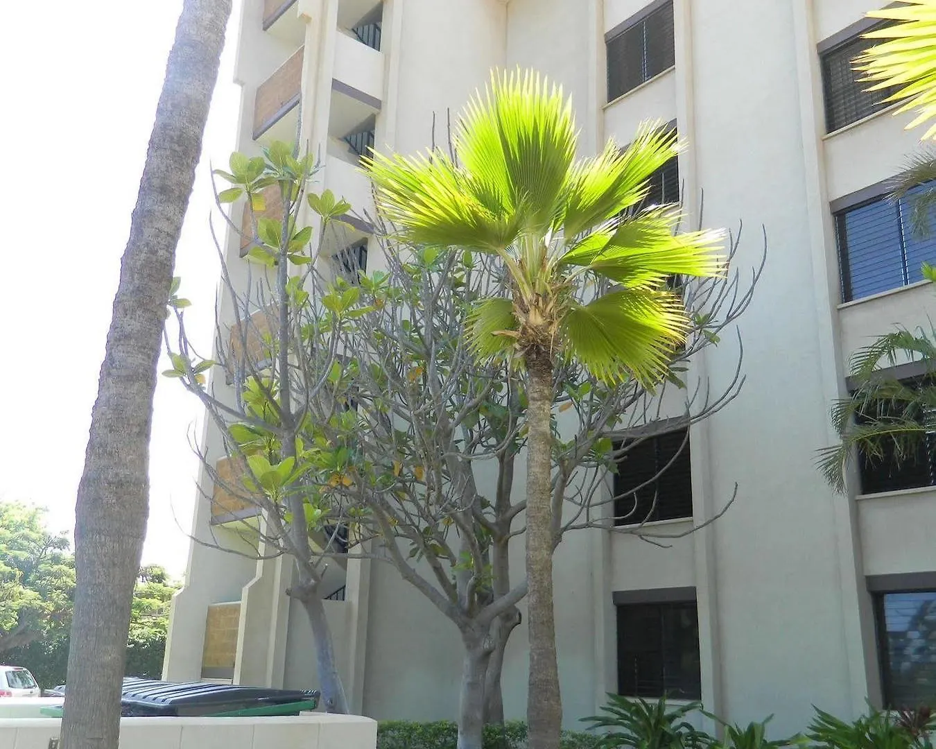 Aparthotel Maui Vacation Club