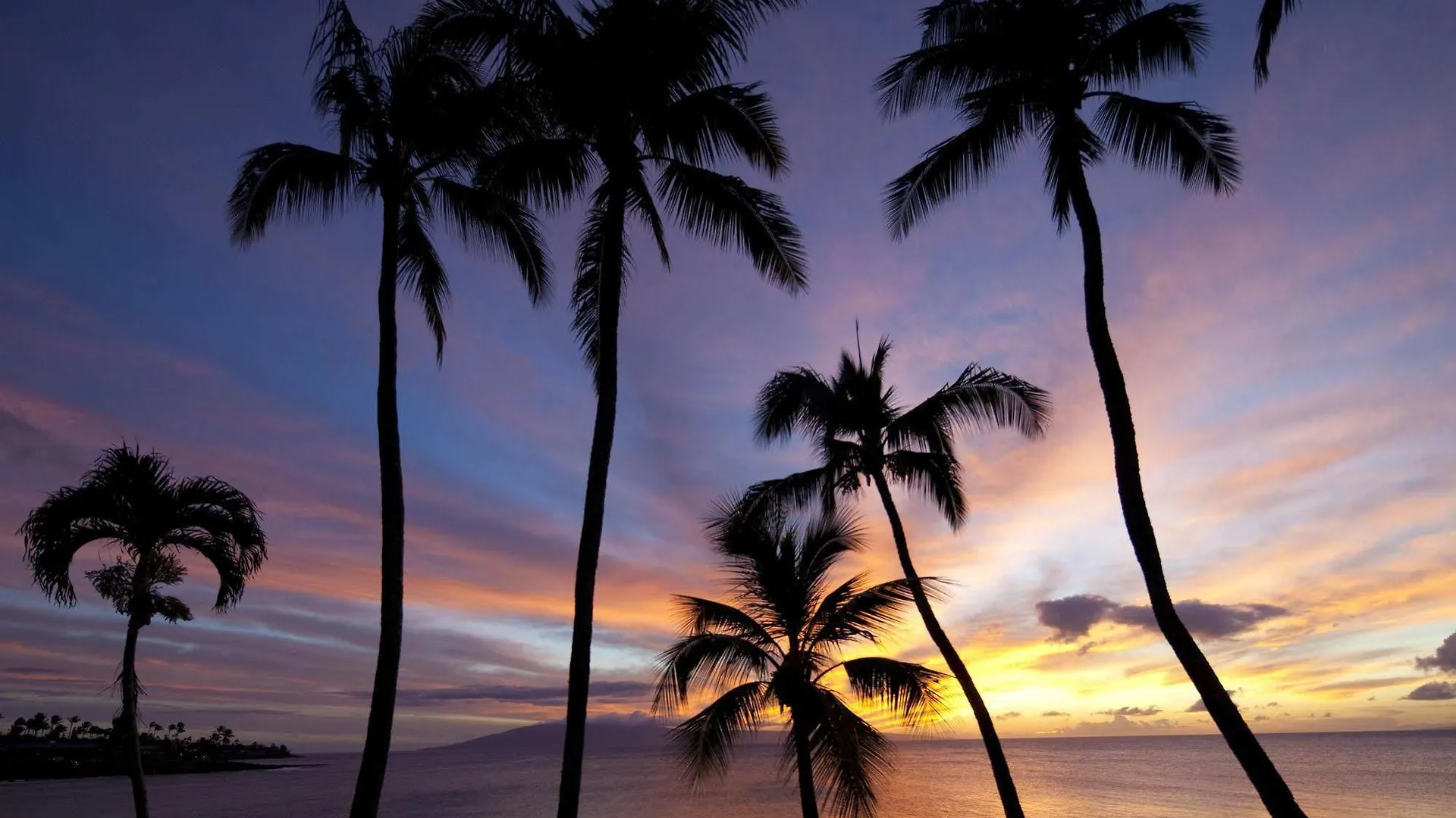 Resort Napili Kai 4*