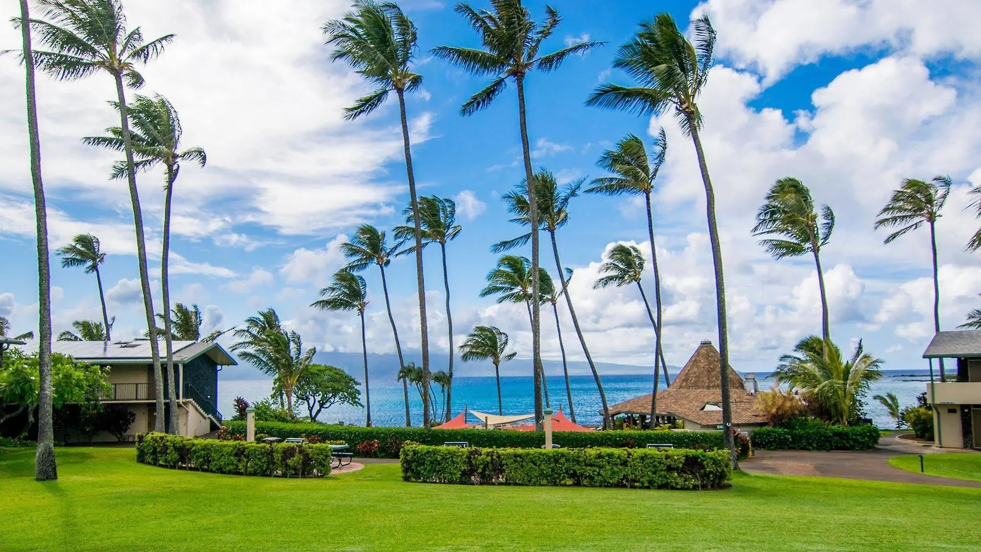 Hotel apartamentowy Napili Shores Maui By Outrigger - No & Housekeeping Fees 4*