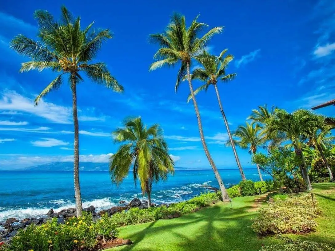 Mahina Surf Lahaina