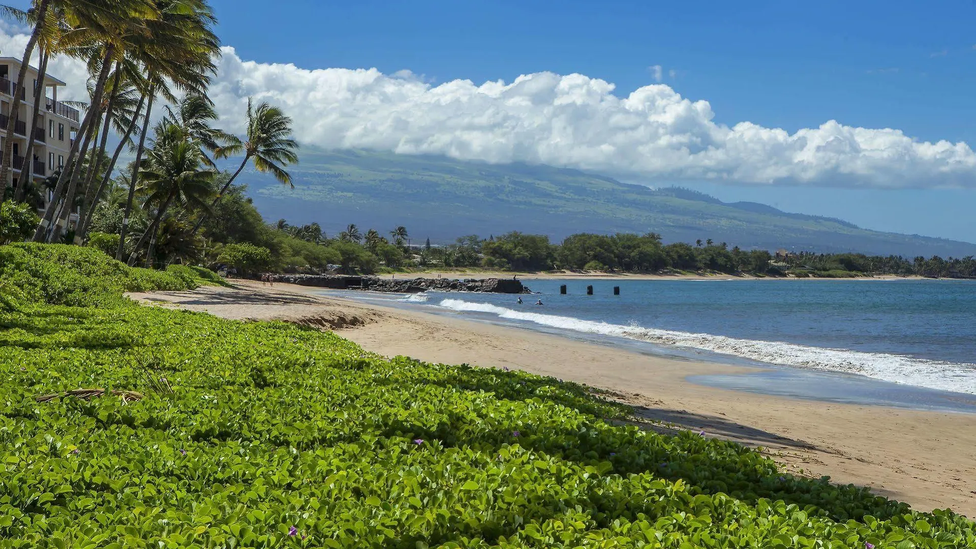 Ma'alaea Surf 4*
