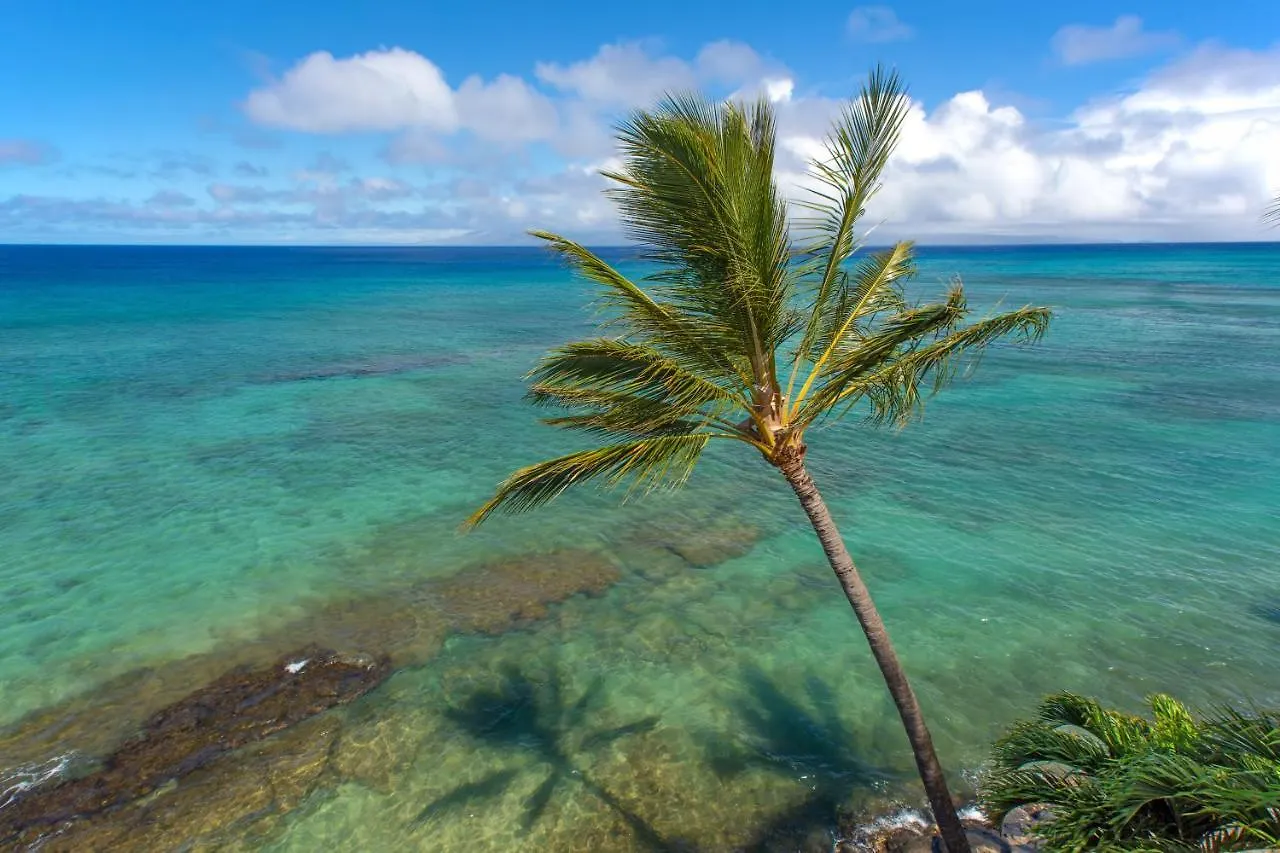 Hotel Hale Ono Loa 406