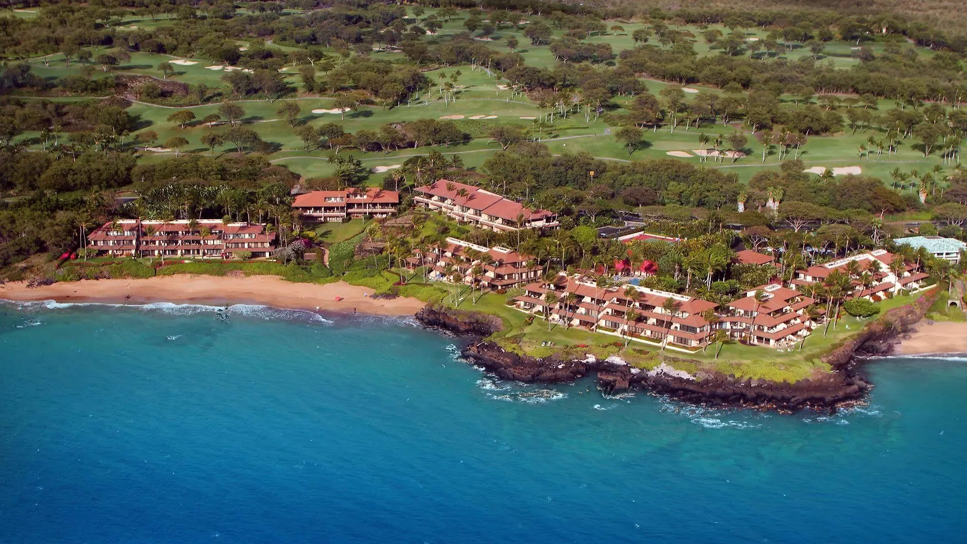 Makena Surf- Coraltree Collection