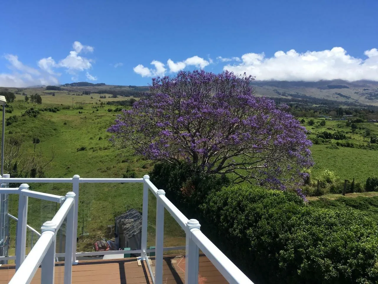 Ha'le Kiana Bed & Breakfast