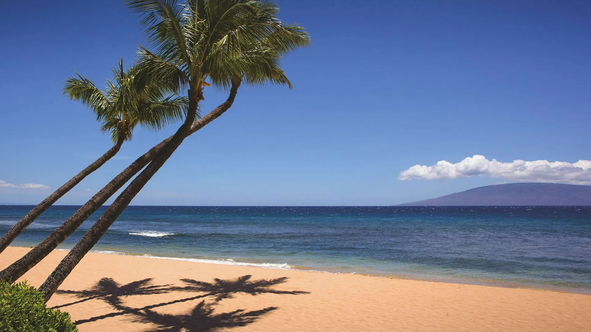 Marriott's Maui Ocean Club - & Napili Towers