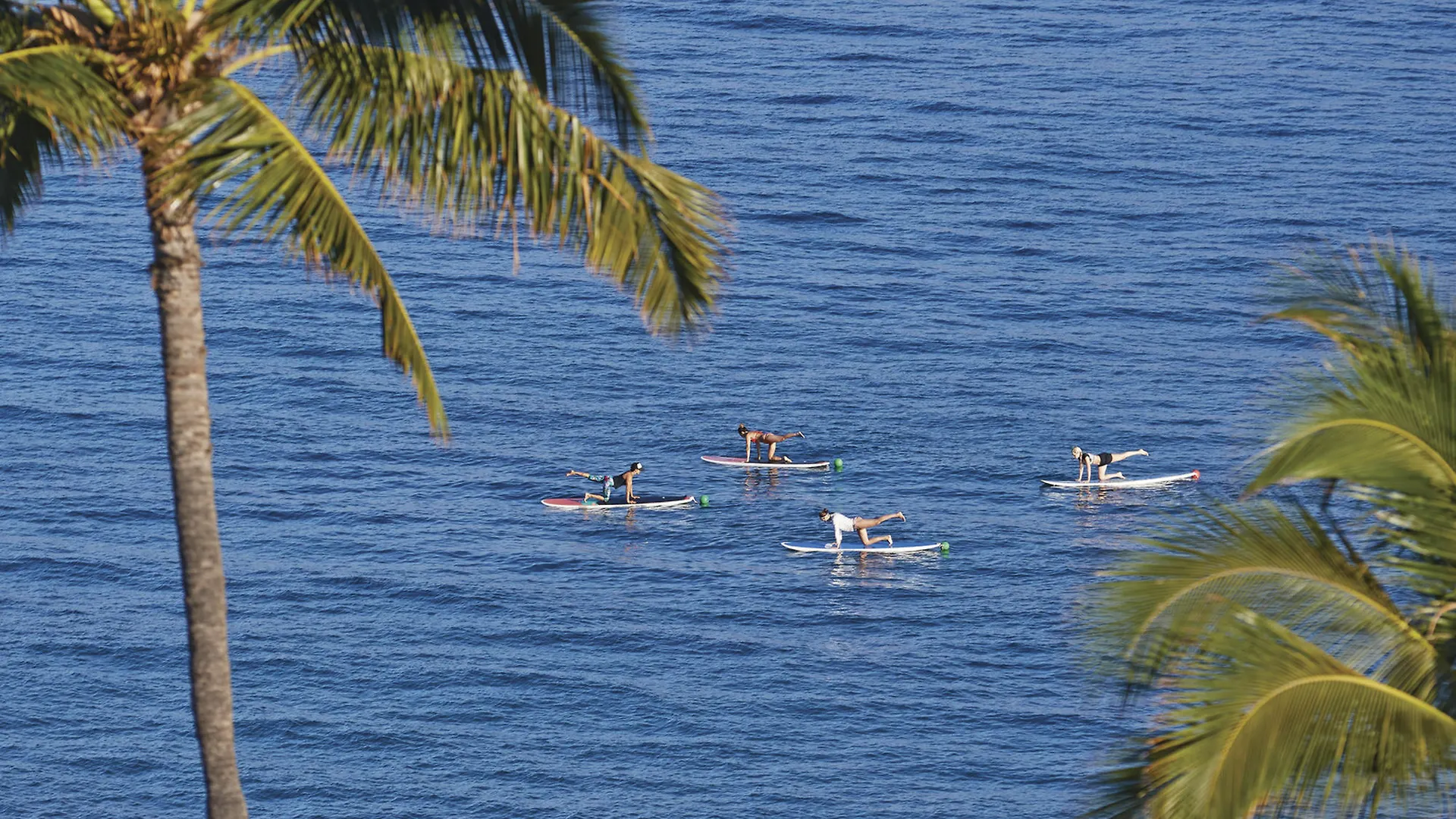 Four Seasons Maui At Resort Wailea (Maui)