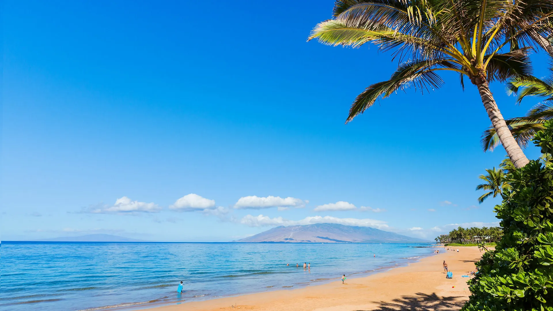 3 Bedroom Vacation Apartment *