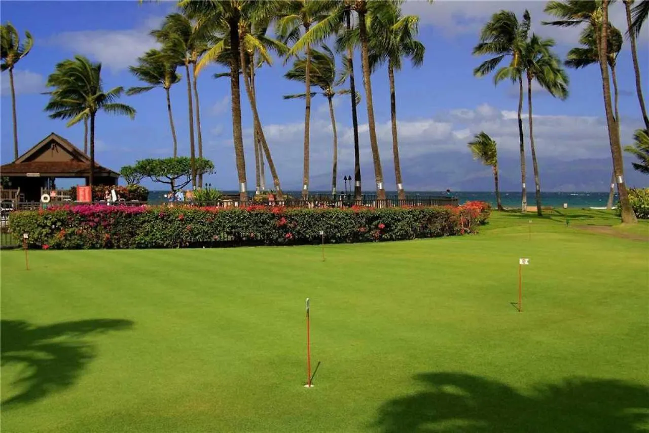 3 Bedroom Ocean View In North Kaanapali - Sleeps 8 - Papakea #d402 *