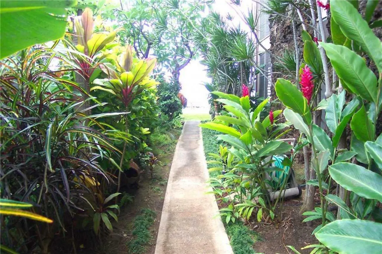 2 Bedroom Ocean Front In Honokowai - Sleeps 6 - Pikake #a6 Ferienhaus *