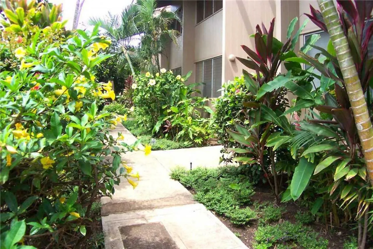 Ferienhaus 2 Bedroom Ocean Front In Honokowai - Sleeps 6 - Pikake #a6 Napili-Honokowai