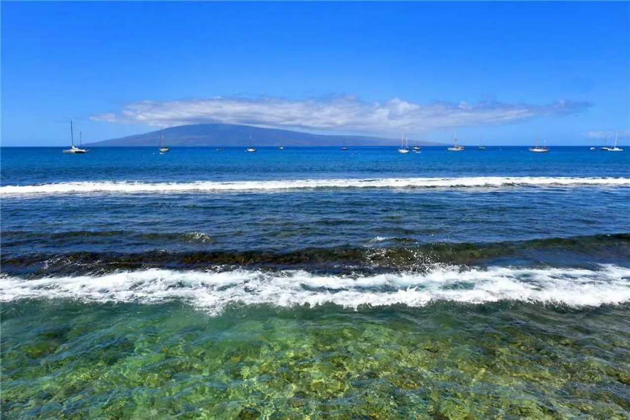 1 Bedroom Ocean Front In Town - Sleeps 4 - Roads #204 *