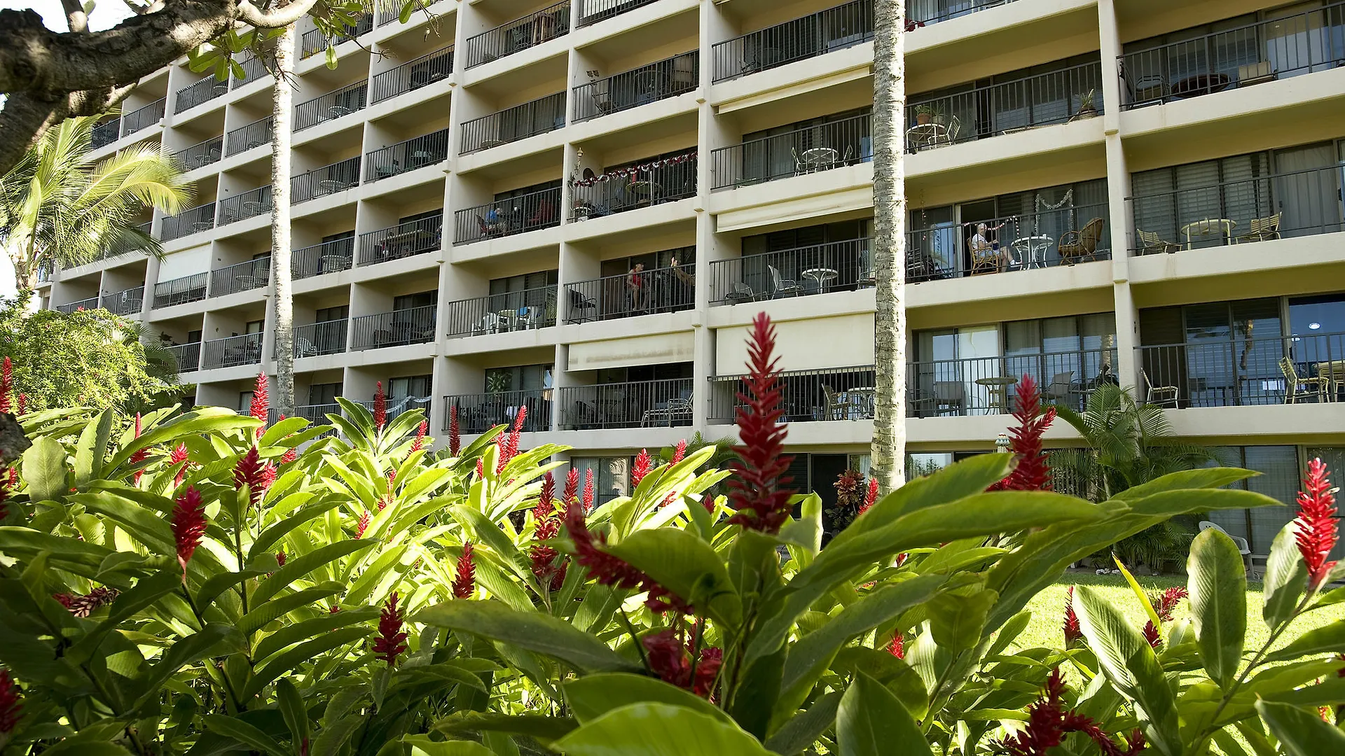 Kihei Akahi D-109 - One Bedroom * Waikapu