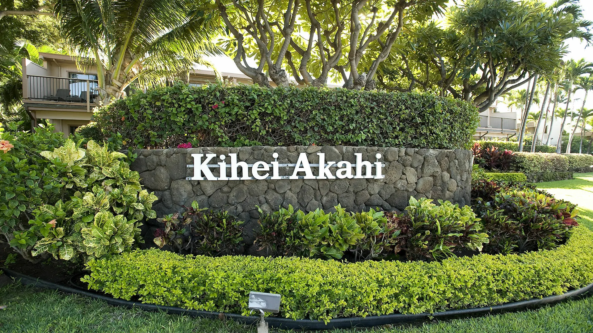 Kihei Akahi D-109 - One Bedroom Apartment Waikapu