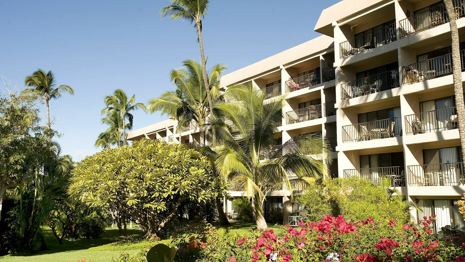 Kihei Akahi D-109 - One Bedroom Apartment *