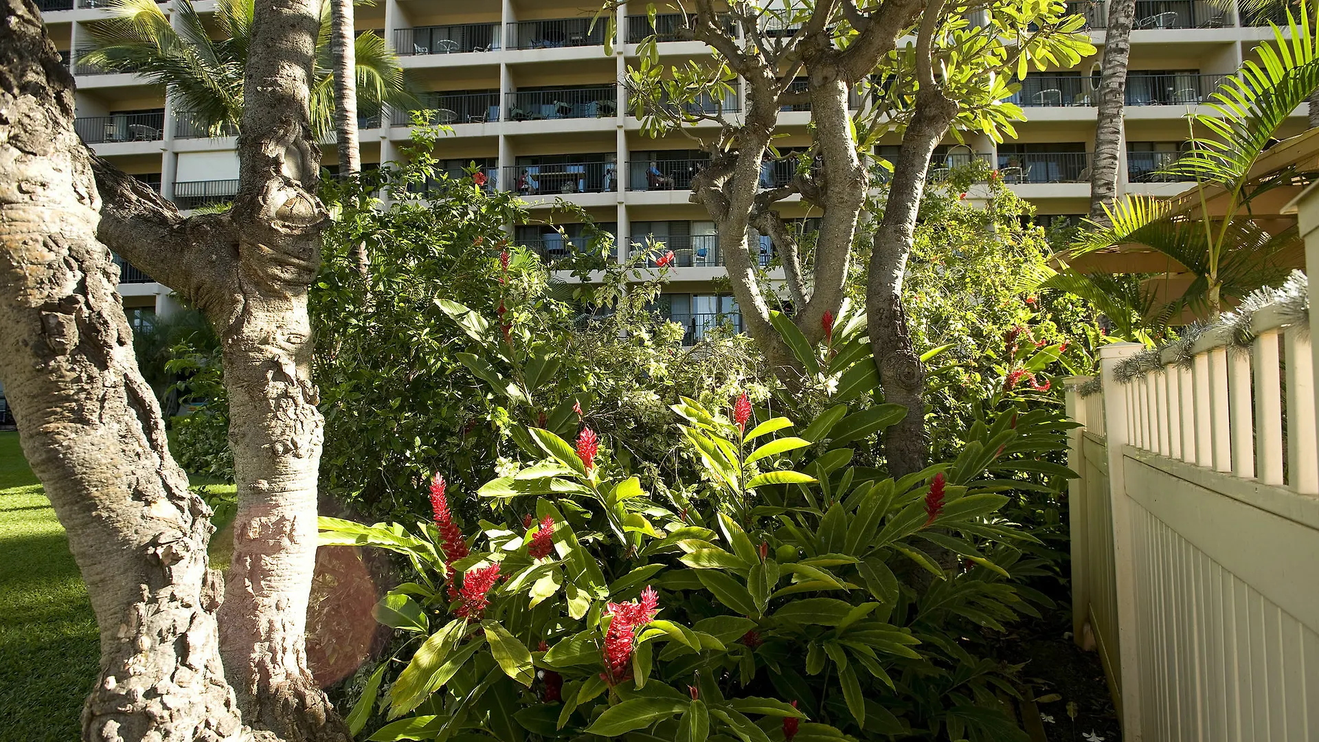 Kihei Akahi D-109 - One Bedroom