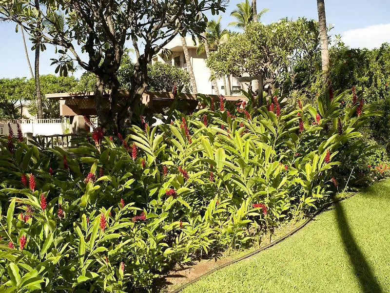 Apartment Kihei Akahi D-109 - One Bedroom