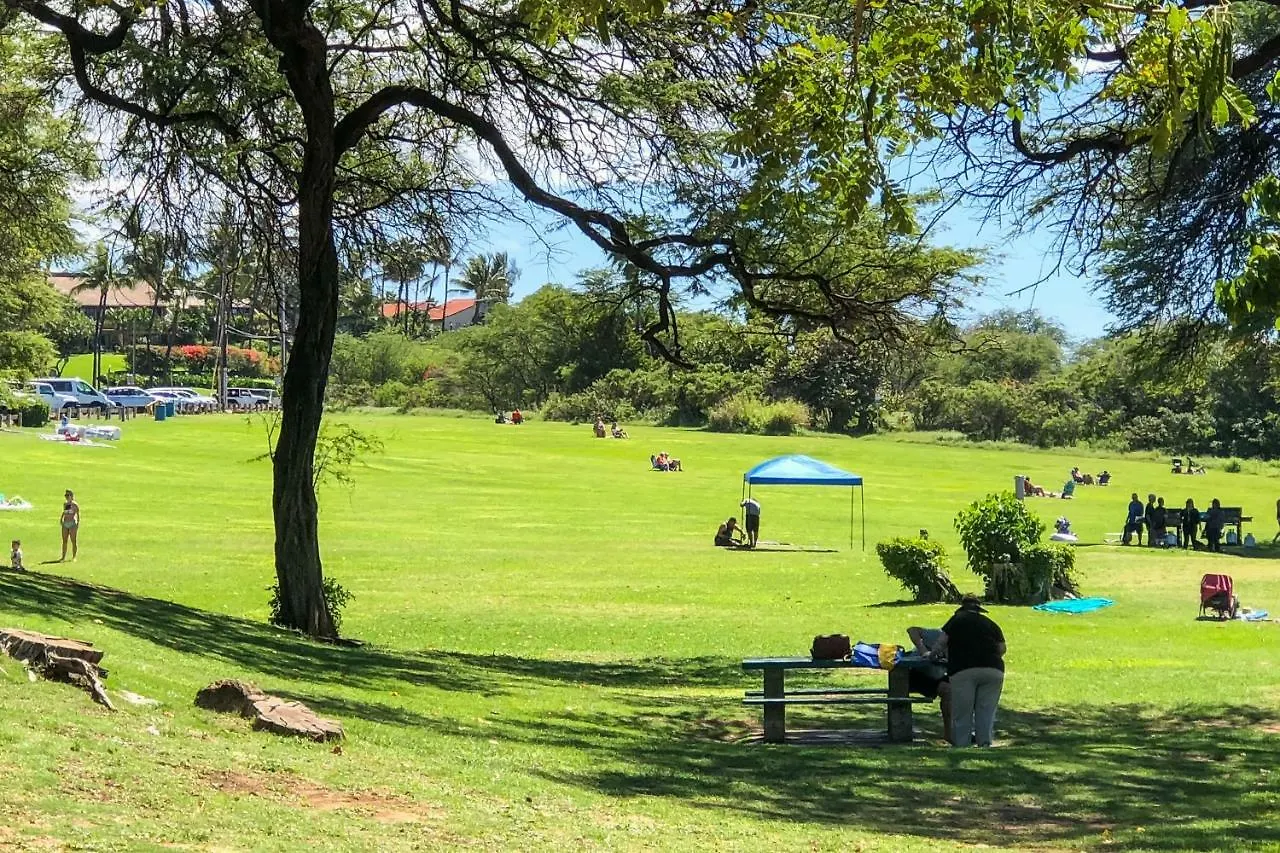 Maui Parkshore 110 Daire *