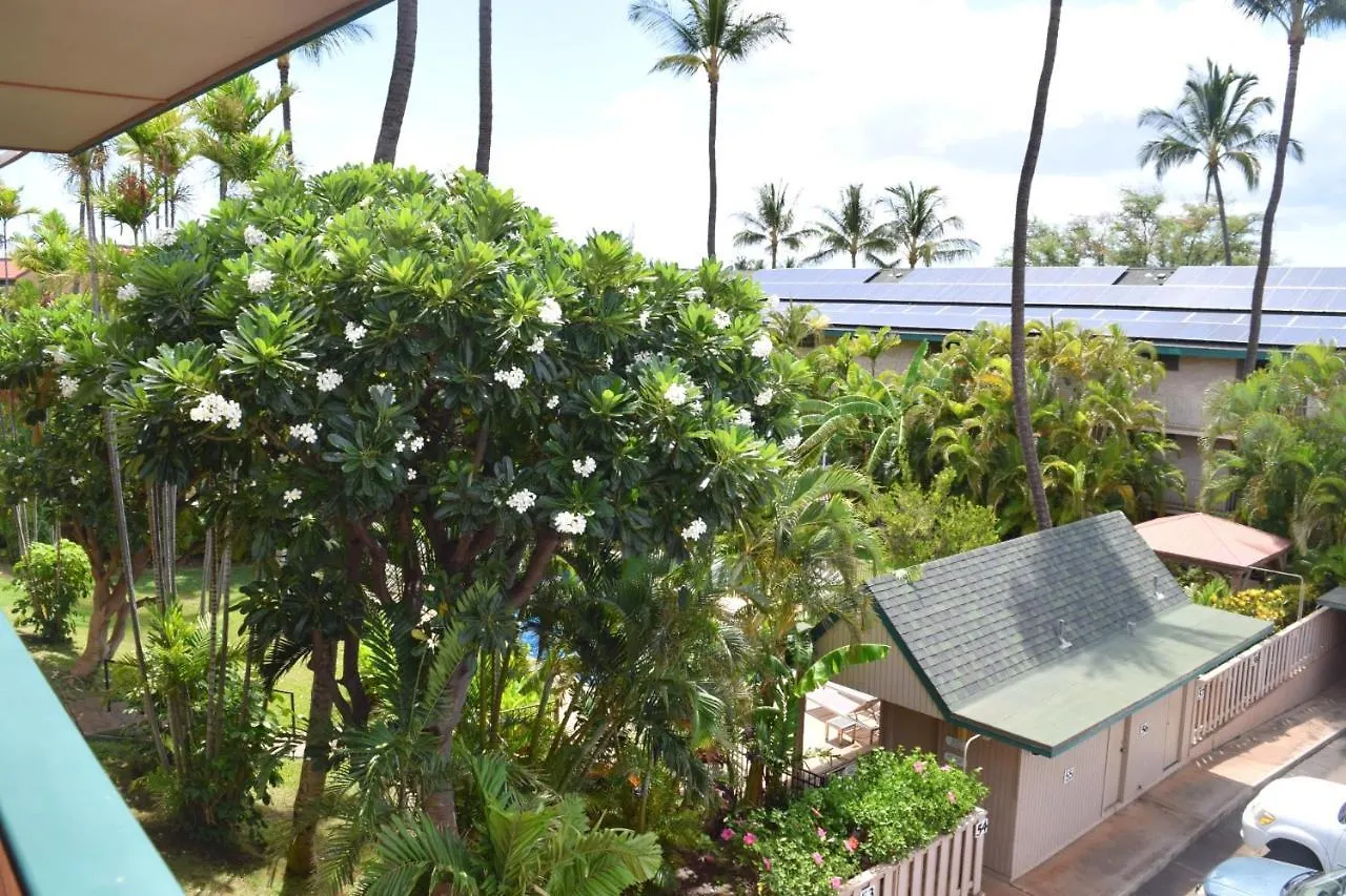 Kalama Terrace P309