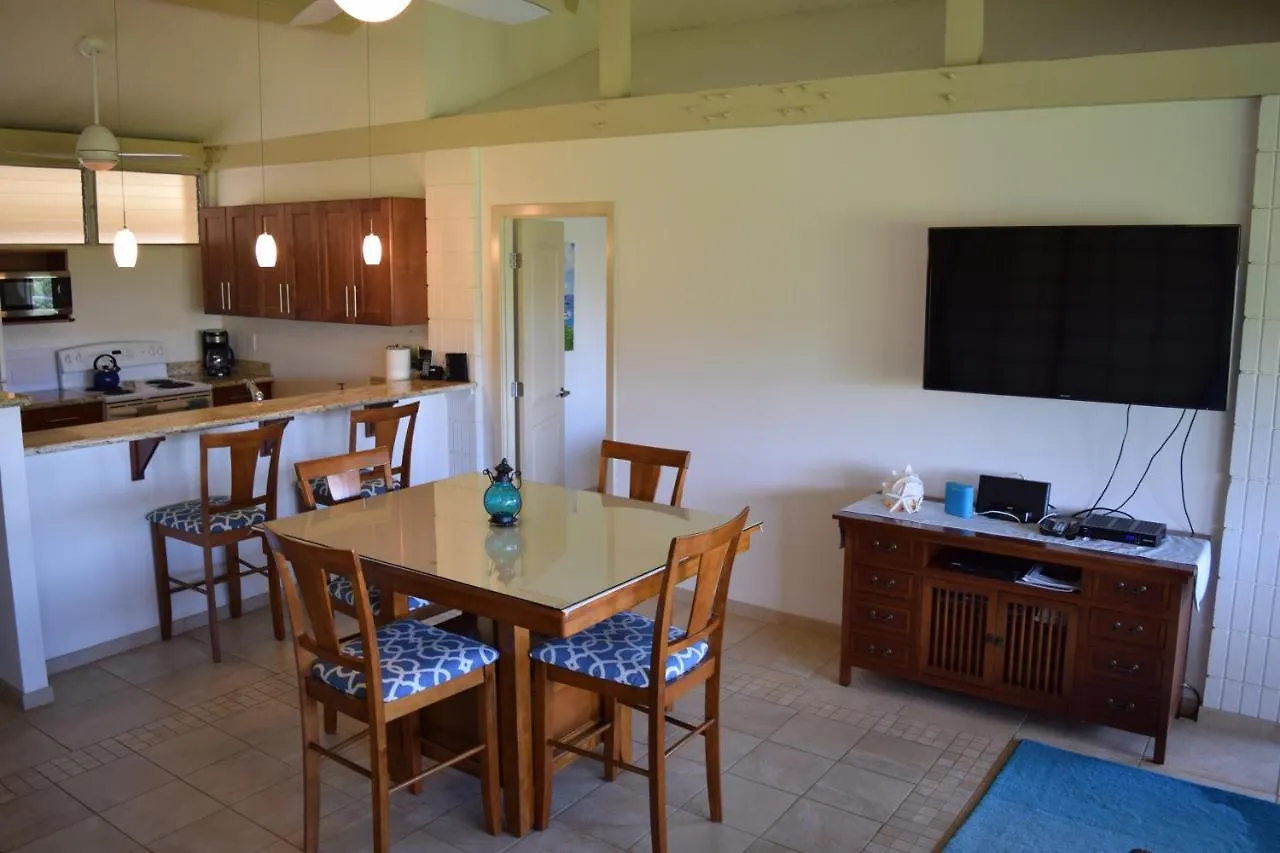 Apartment Haleakala Shores A403