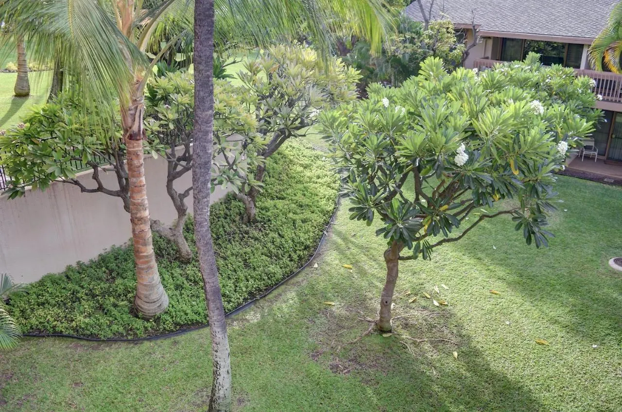 Apartment Kihei Akahi C308 Wailea (Maui)