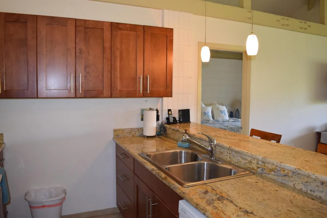Haleakala Shores A403 Apartment