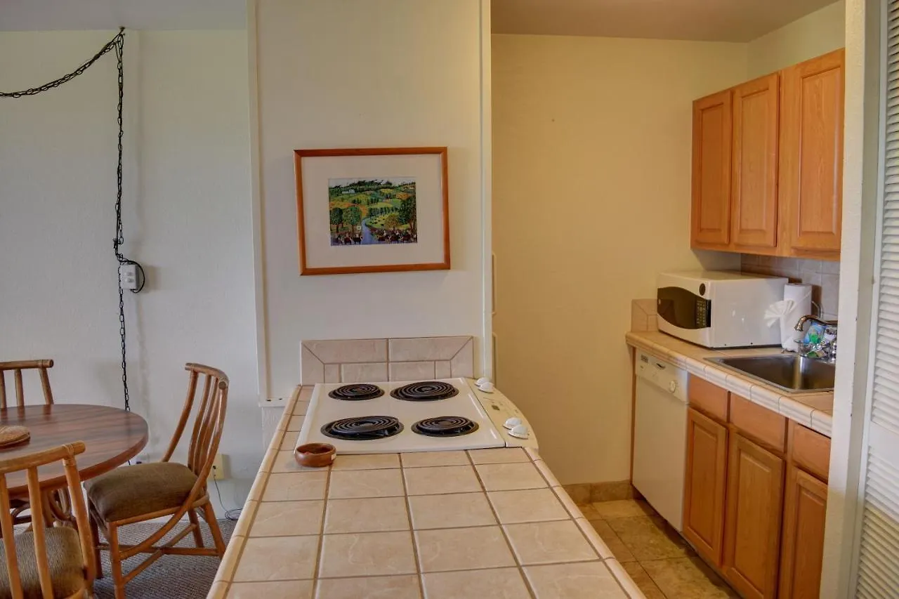 Apartment Maui Vista 1223