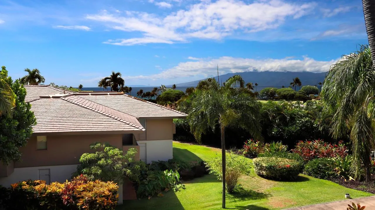 Maui Eldorado - D206