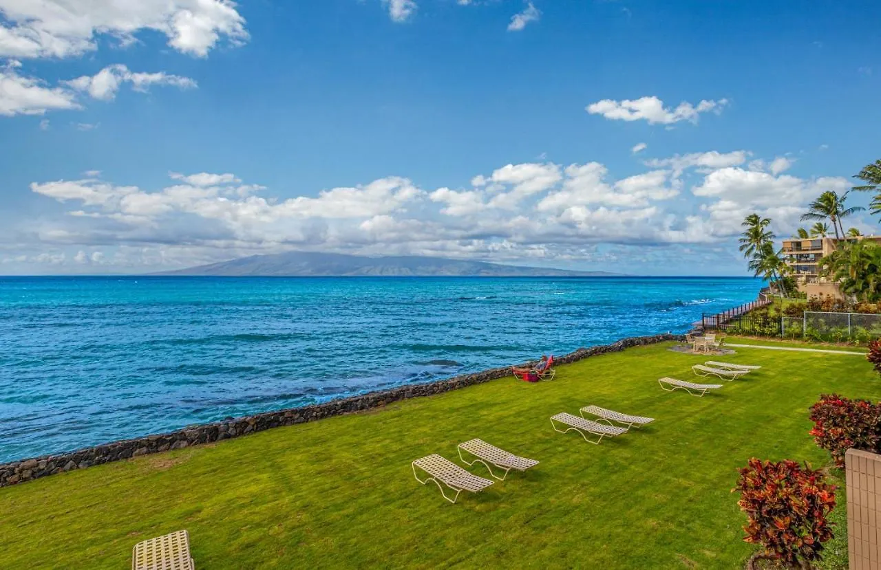 Kaleialoha 209 *