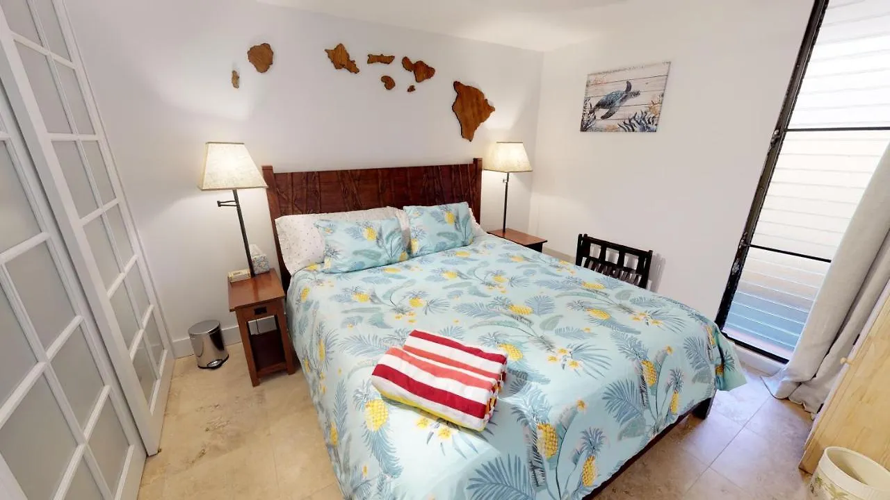 Apartament Stunning Sunsets And Oceanview's At Paki Maui