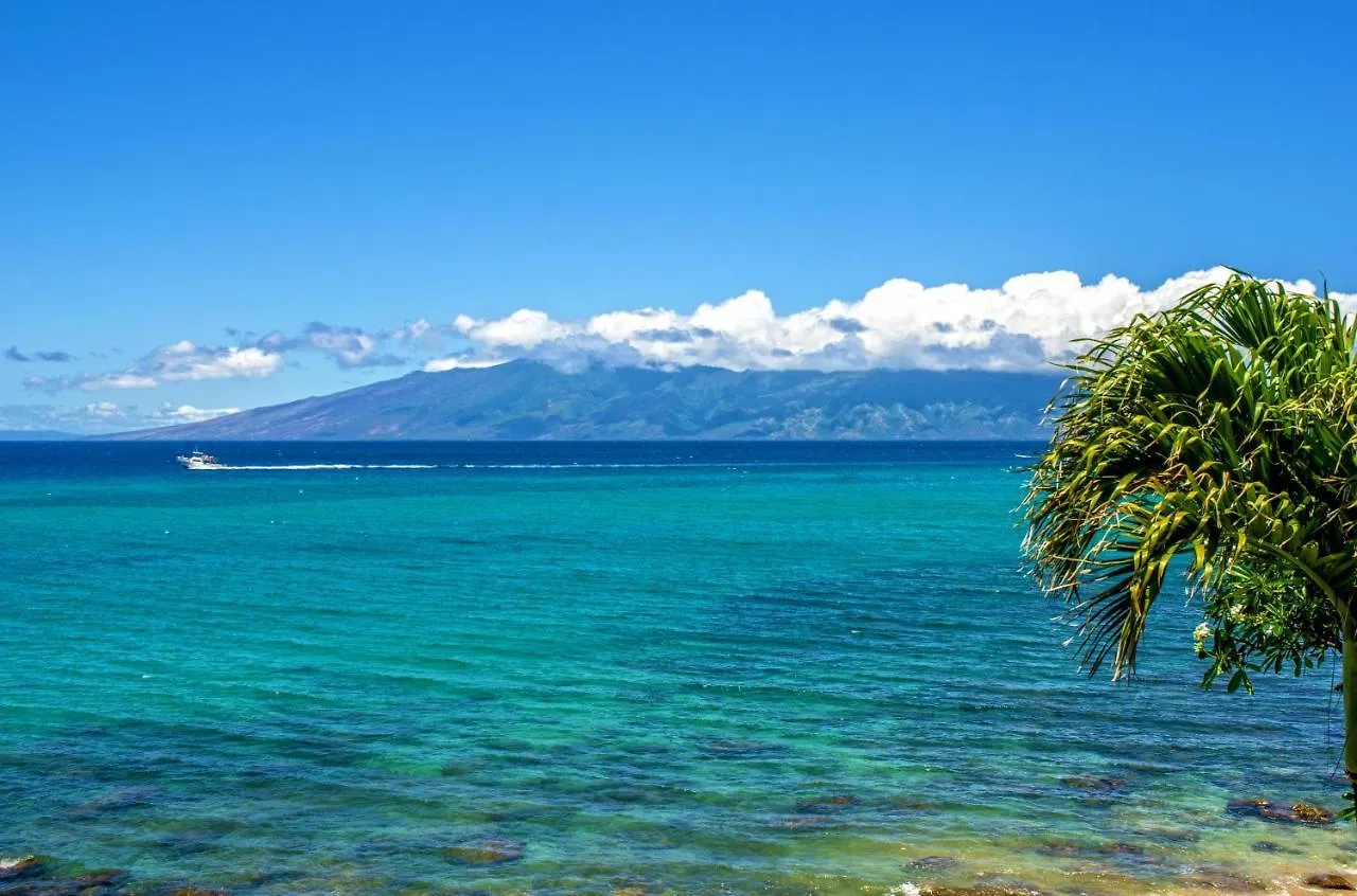 Kuleana 413