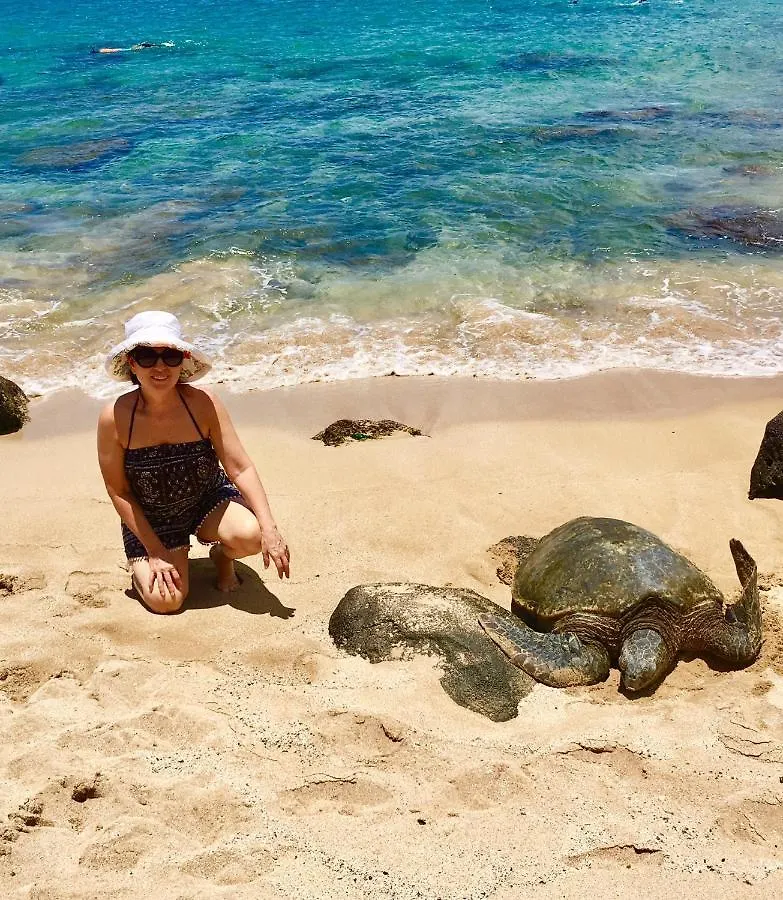 아파트 Kuleana Turtle Sanctuary Napili-Honokowai