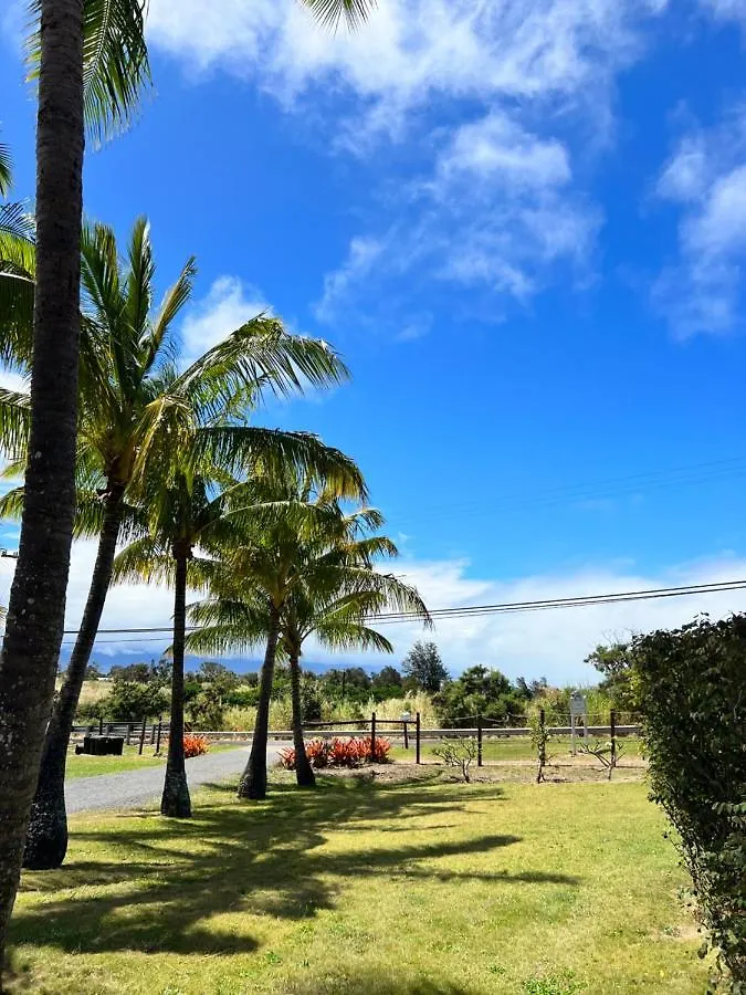 God's Peace Of Maui 3*