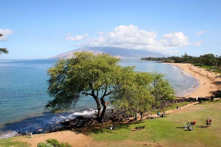 Royal Mauian, #302 * كيهي