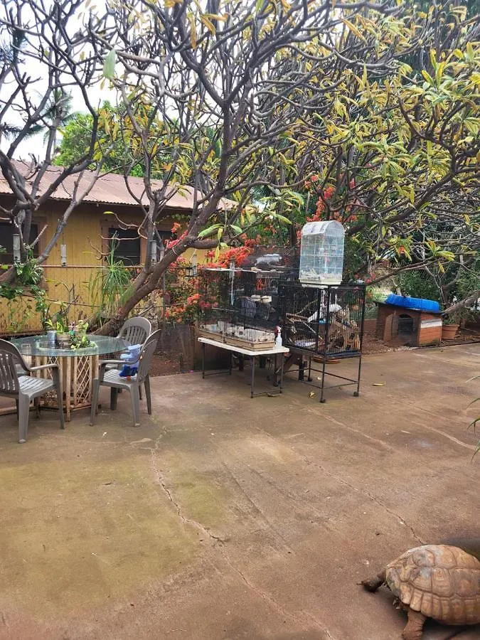 The Hale Critter Refuge *