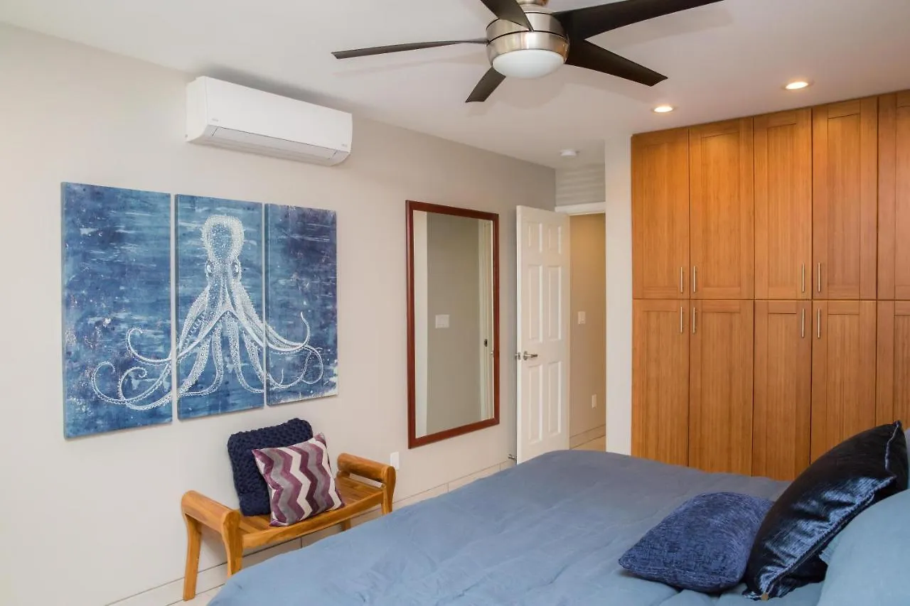 Casa vacanze Hale Kamaole 176