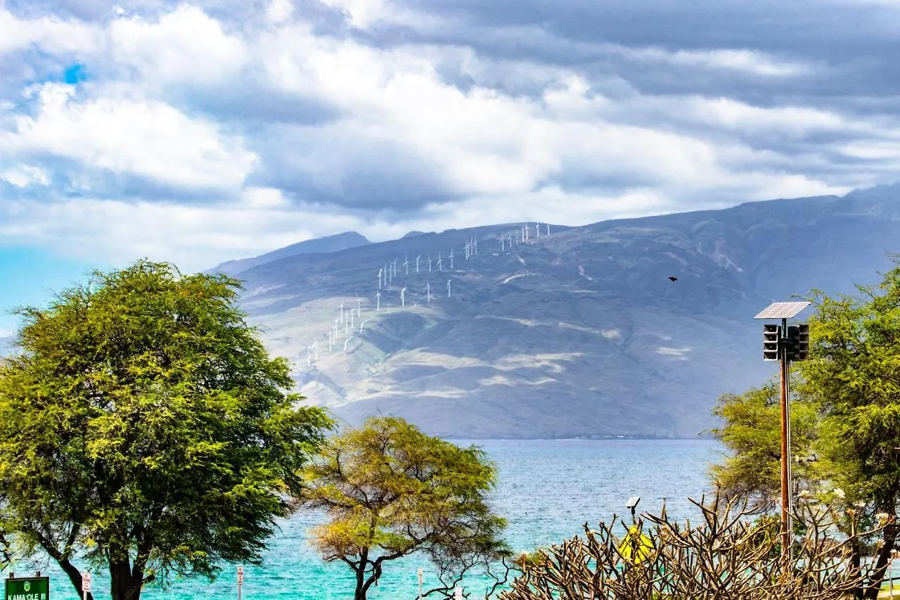 Hale Kamaole 271 ويليا