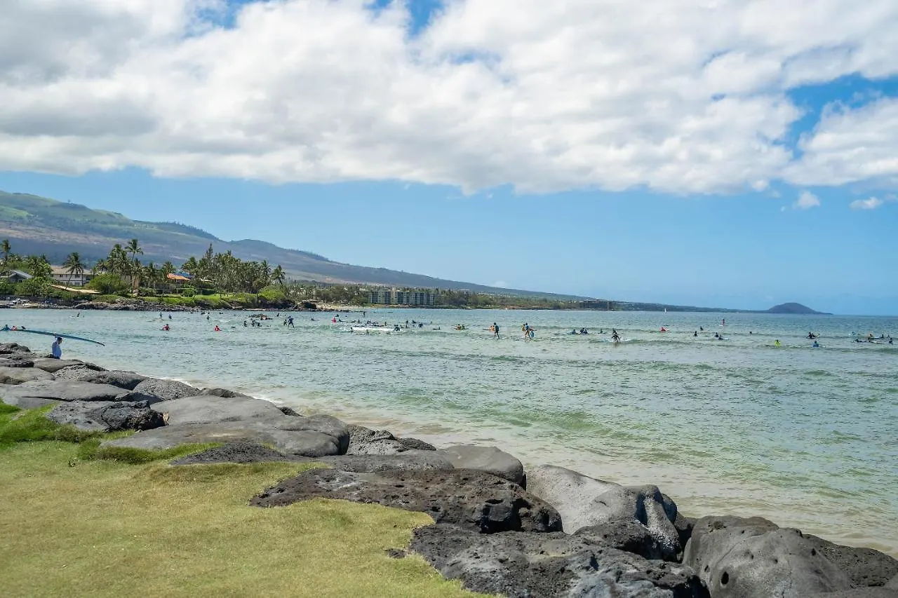 1112islandsurf312isnco - Island Surf 312
