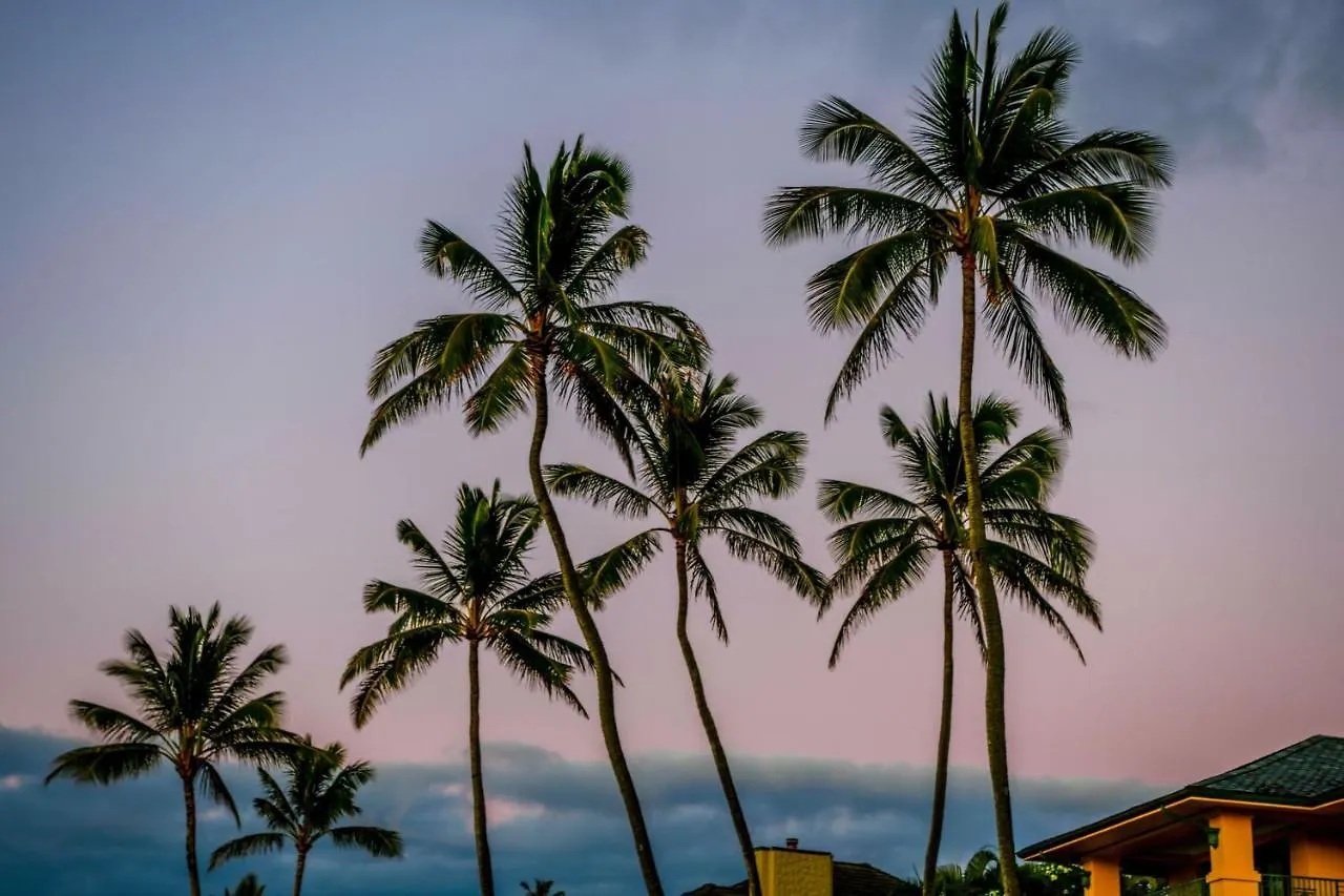 The Ritz-carlton Maui, Kapalua 5*
