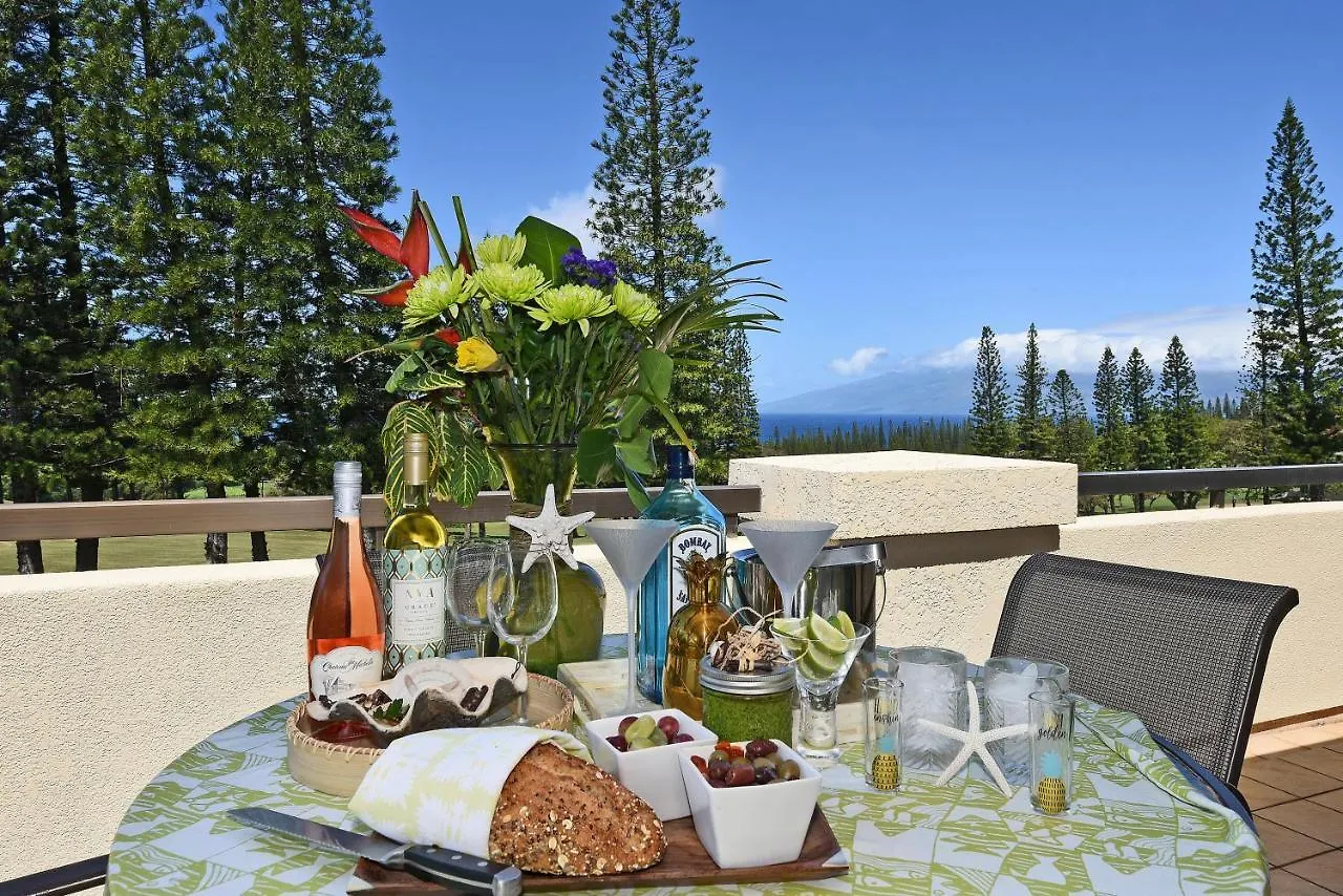 Holiday home Kapalua Golf 27t1 Kahana