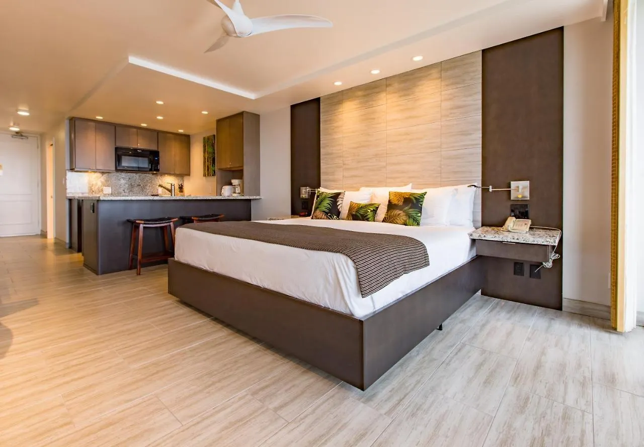Shores 505