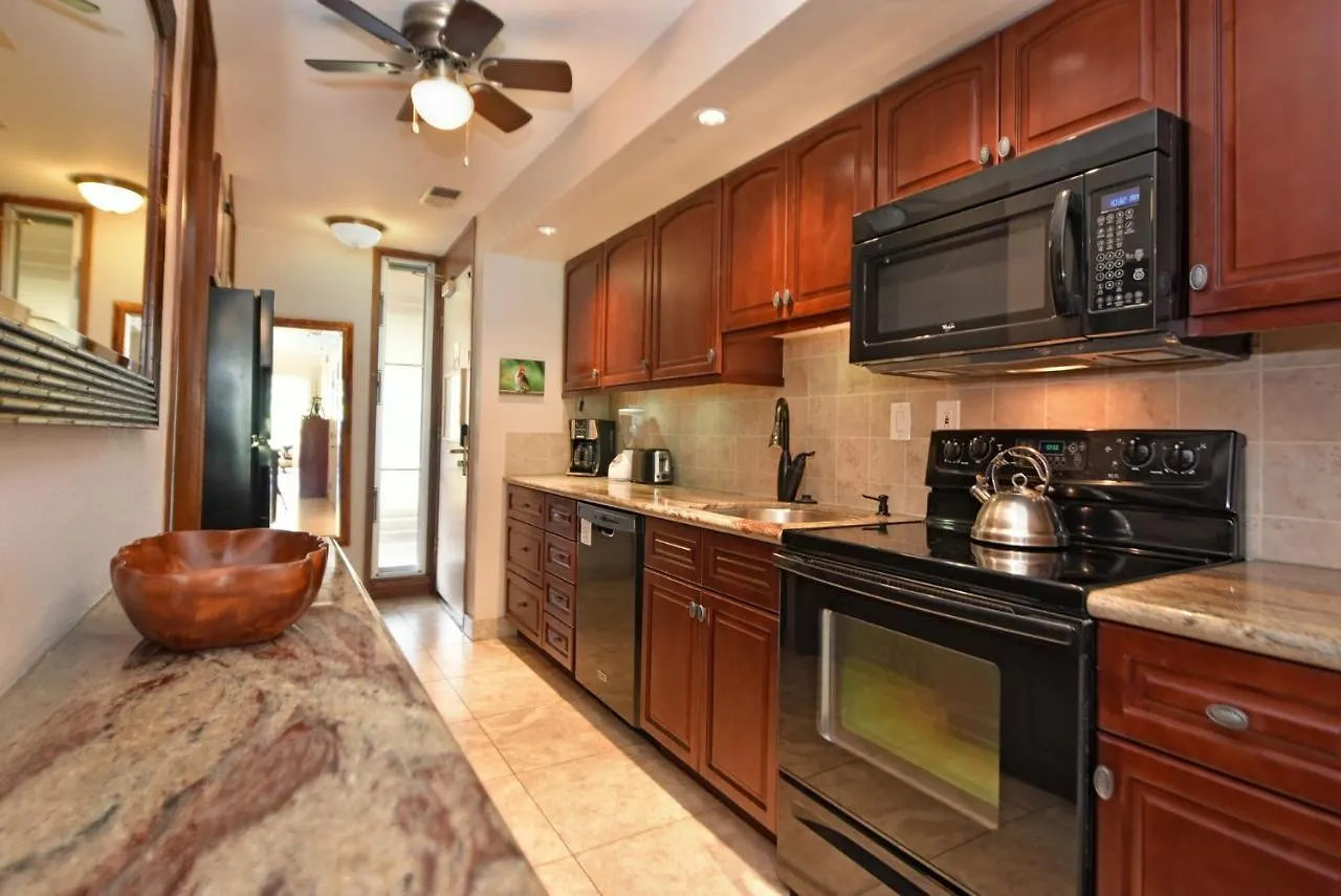 Apartment Maui Kaanapali #b233