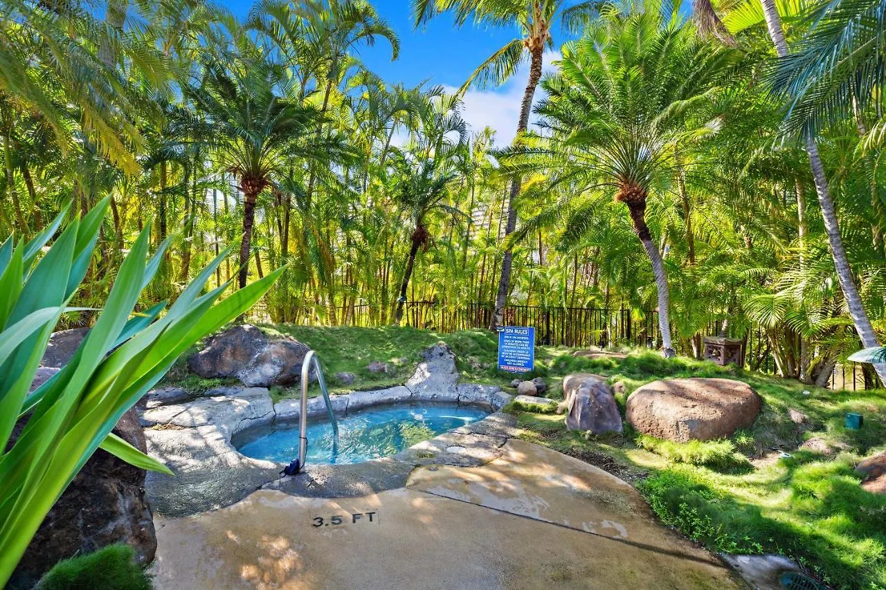 Maui Kamaole D208 *