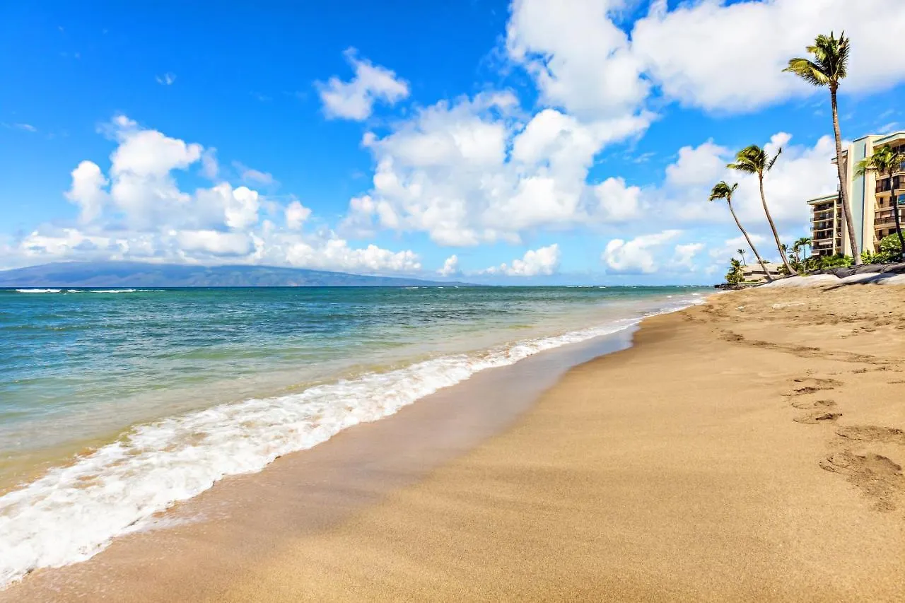 Royal 618 * Kahana