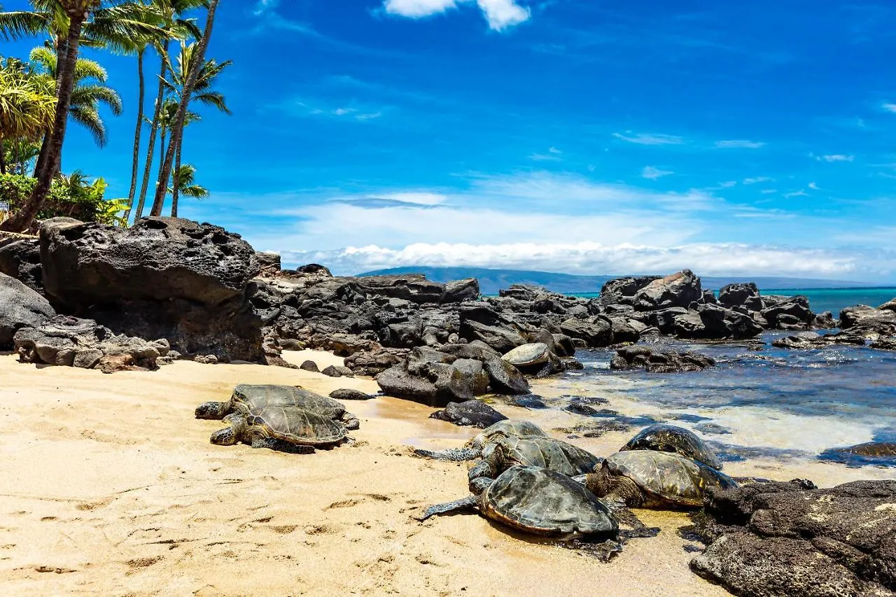 Mahina Surf 205 Vakantiehuis Kahana