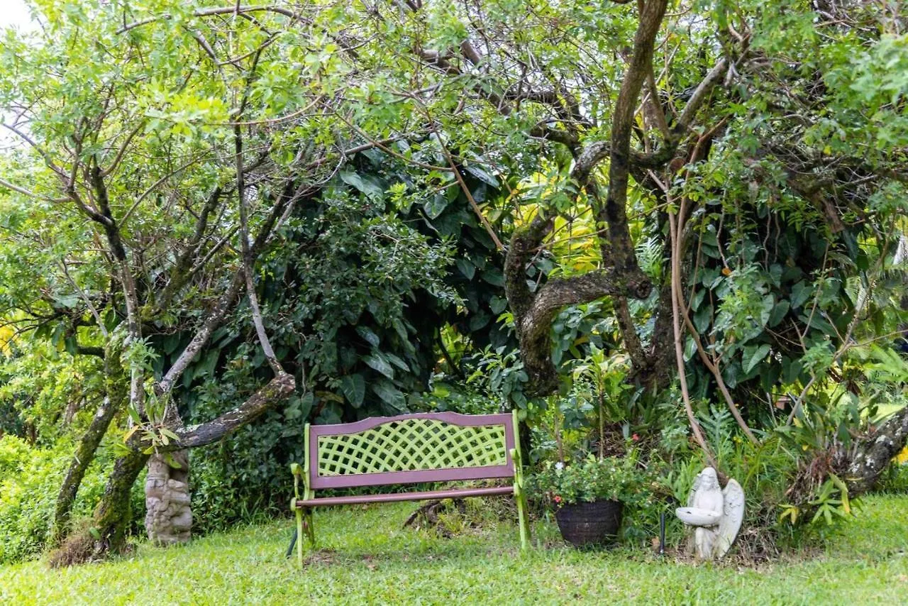 בקתה Jasmine On Lush Farm In Haiku, Maui Jungle